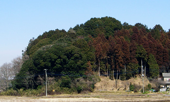 「厳島山」画像