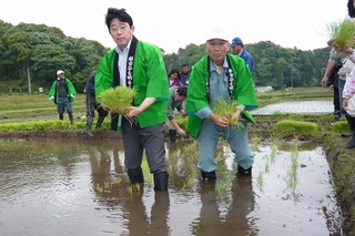 浦安市民の田植体験