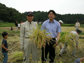 浦安市民の稲刈り体験