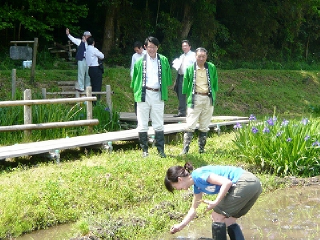 浦安市民の田植体験