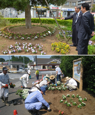 おもてなし花壇を視察